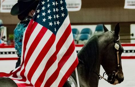 Big D Charity Horse Show