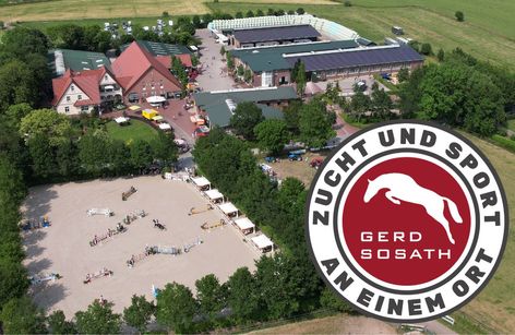 Sommerturnier Hof Sosath