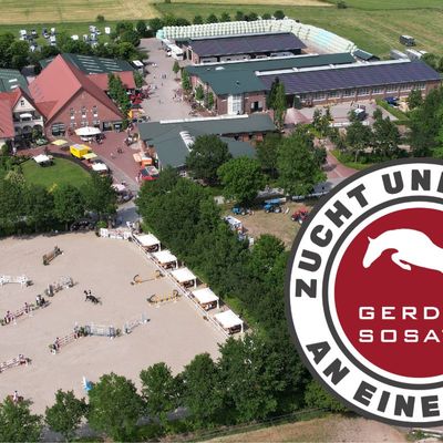 Sommerturnier Hof Sosath