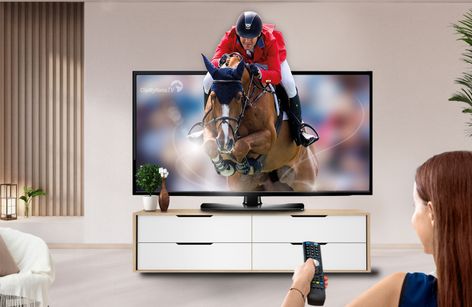International 24/7 ClipMyHorse.TV