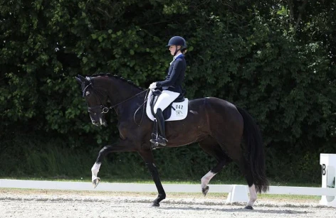 DM for seniorer og para samt Agria DRF-mesterskab for U25 (B)