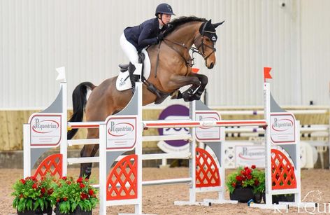 Kelsall Hill - British Showjumping 3 Day Show