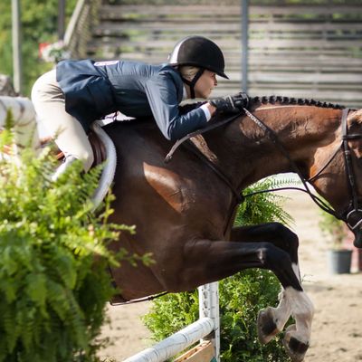 Blowing Rock Charity Horse Show 2025 – Week #2