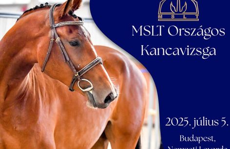 MSLT Országos Kancavizsga