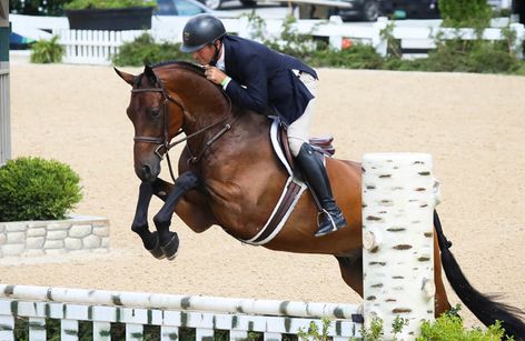Bluegrass Festival Horse Show