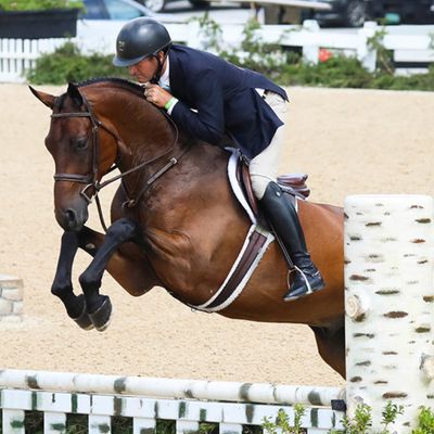 Bluegrass Festival Horse Show
