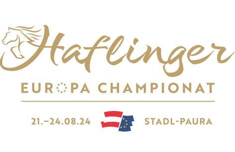 Haflinger Europachampionat 2024