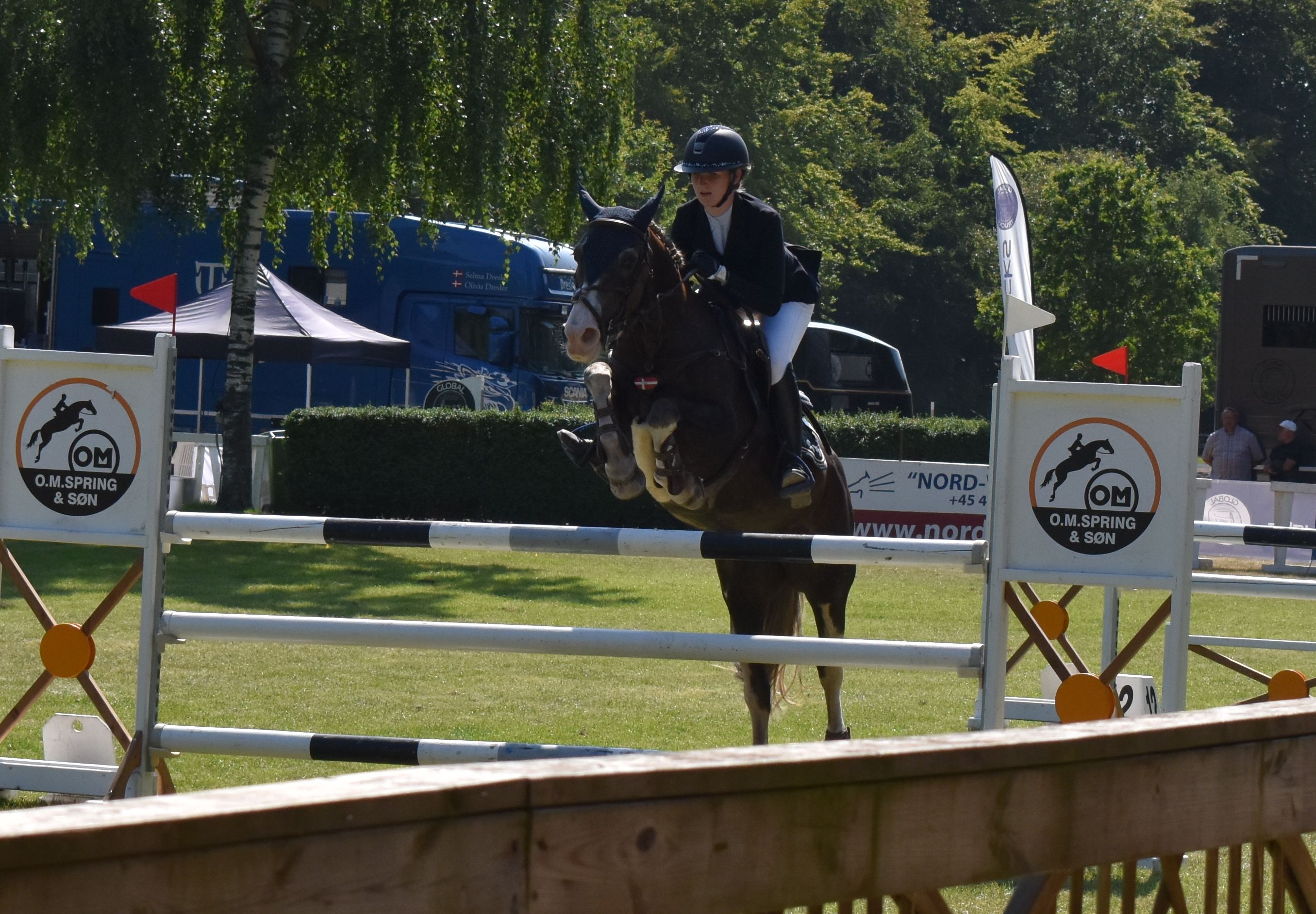 Agria DRF Mesterskab Finale Children Præsenteret Af Ingdams - Agria DRF ...