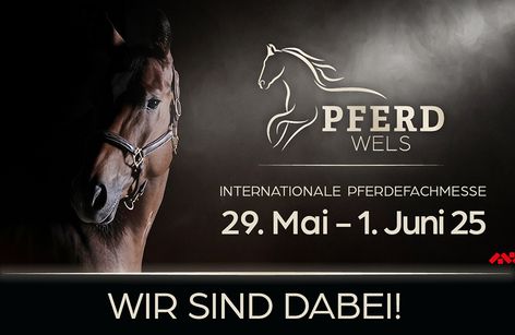 PFERD Wels - Internationale Pferdefachmesse - Sport / Zucht / Show