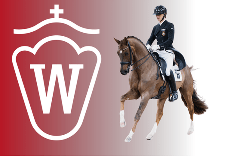 Live Stream - Westfalens Goldener Herbst: Westfälische Herbst Auktion ...