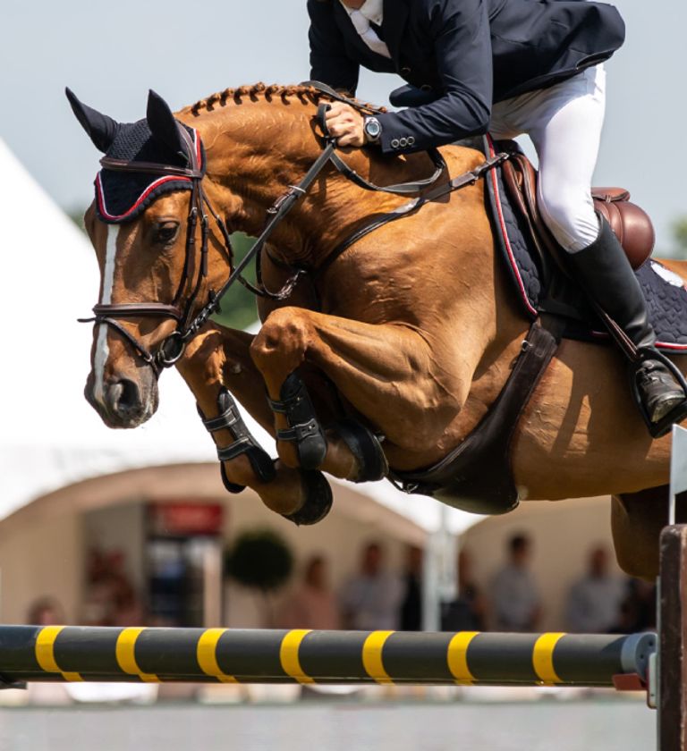 Live Stream Addington Equestrian 3 Day British Showjumping Show