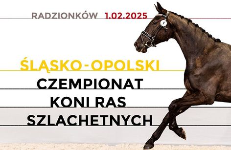 Śląsko-Opolski Czempionat Koni Szlachetnych 2025