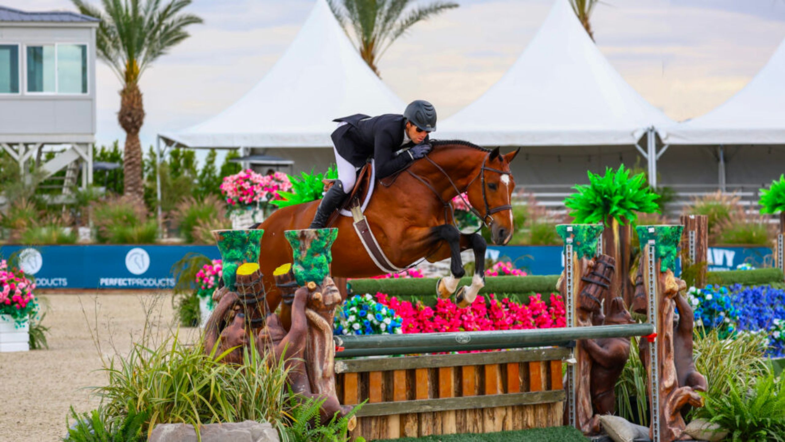 $1,500 1.40m Open Jumper 2.b - 2025 National Sunshine Series 2