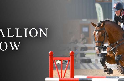 Stallion AI Stallion Parade
