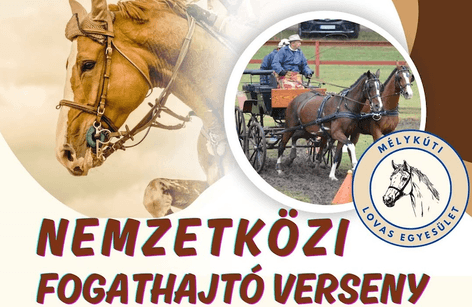 Mélykút - CAI2*, CAI3* - Nemzetközi Fogathajtó Verseny