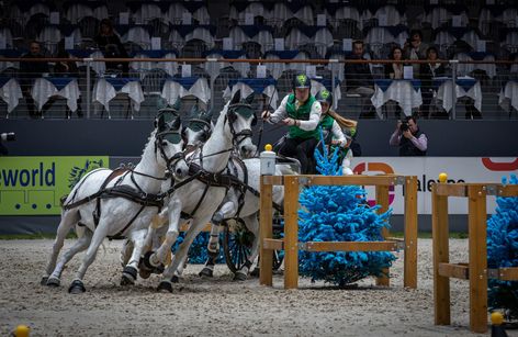 CHI de Genève - Grand Slam of Showjumping & FEI Driving World Cup™ 2024 -2025 I Geneva