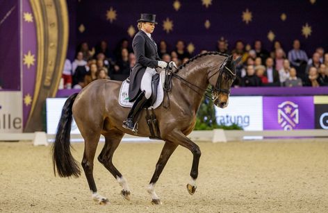 Internationales Festhallen Reitturnier Frankfurt