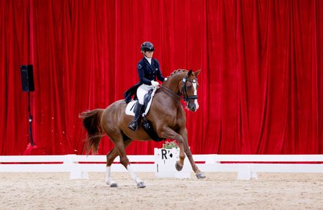 2025 Victorian Dressage Festival