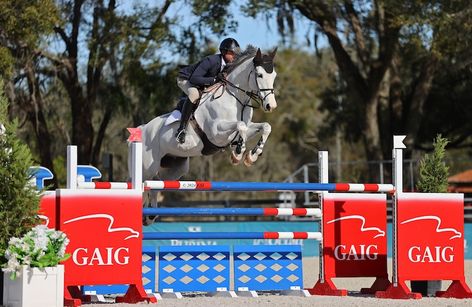 HITS Ocala Winter Celebration IX