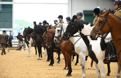 Aintree - Working Hunter Show