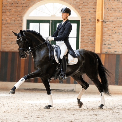 Excellent Dressage Sales 2025