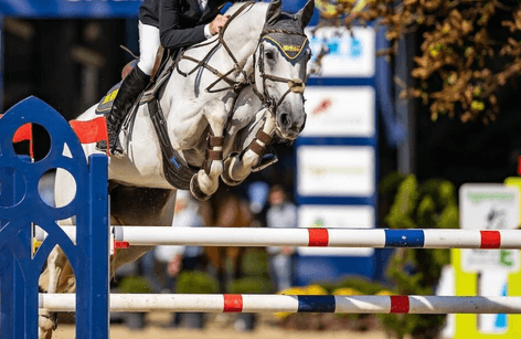 Kindler & Fries Jumping Days Harsum