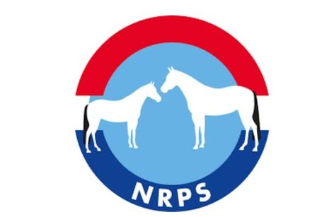 NRPS Hengstenshow