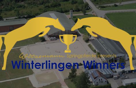Winterlingen Winners mit DSP-Fohlenauktion | Springen