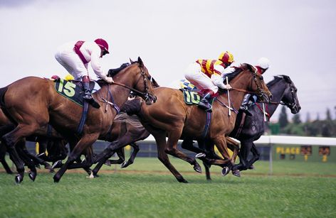 Renntag Berlin-Hoppegarten / Krefeld