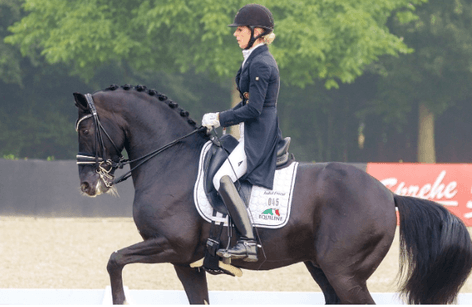 Harmony in Motion CDI3* Borge