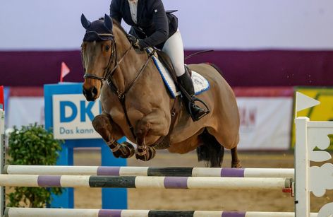 Kranichstein Indoors I