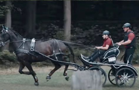 Moritzburger Championatstage 2025