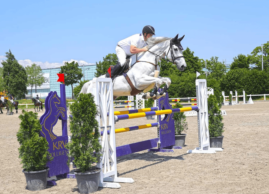ポムを Live Stream - Concours KRV Bolligen - 2026 | Videos, Live Streams