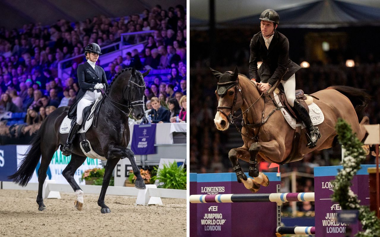 Live Stream - FEI World Cup™ Jumping-Dressage-Driving 2022-2023 I WEL ...