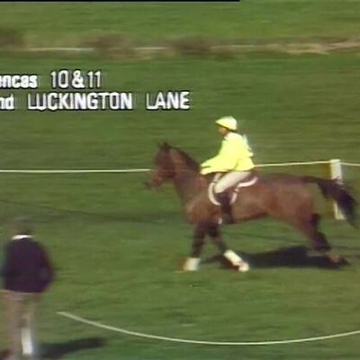 Badminton Highlights Archive