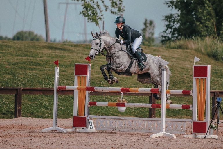 Live Stream Showjumping at Stable Nova 2023 Videos, Live Streams