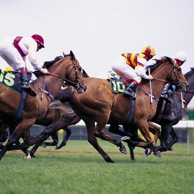 Derby Meeting 2025