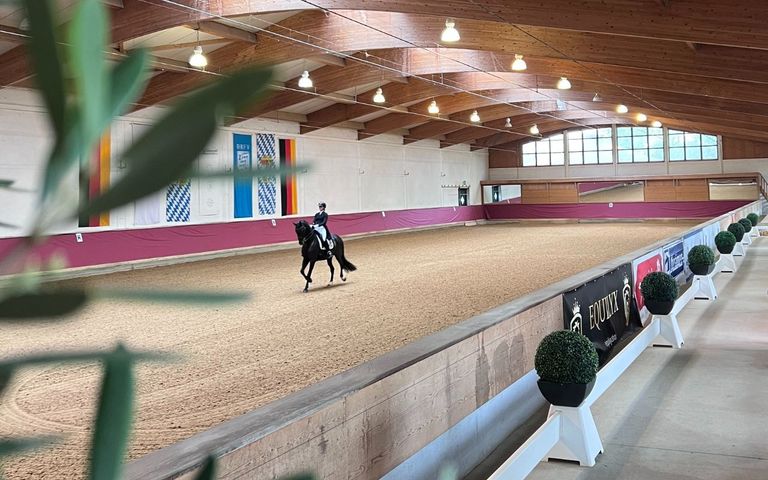 Amateur-Dressurreiterprüfung Kl.L* Trense - Aufgabe RL 4 ...