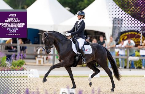 FEI WBFSH Dressage World Breeding Championship for Young Horses