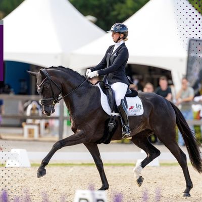 FEI WBFSH Dressage World Breeding Championship for Young Horses