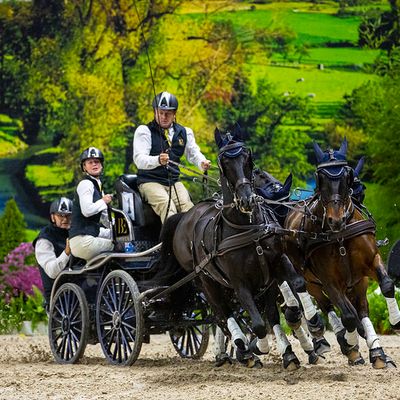 Jumping Indoor Maastricht - FEI Driving World Cup™ 2025-2026 - Maastricht