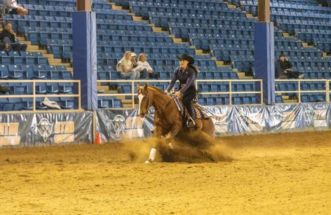 NCAA Equestrian: UT Martin
