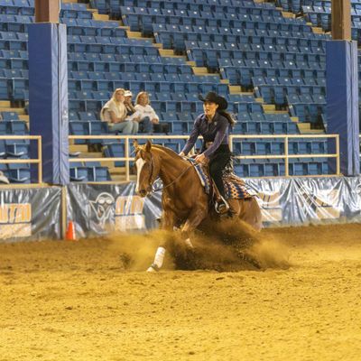 NCAA Equestrian:  UT Martin