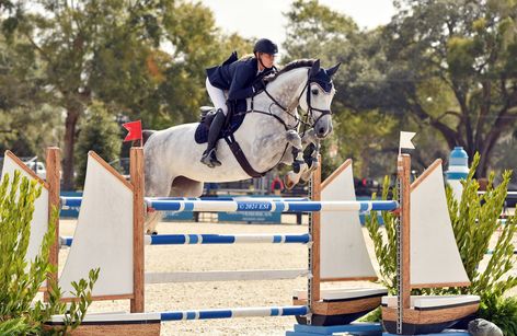 HITS Ocala Winter Finals – VIII