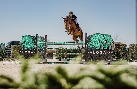 Aloga Auction 2025
