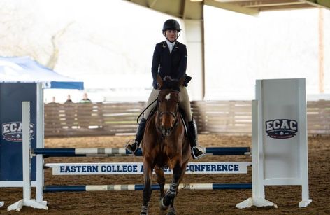 NCAA Equestrian UC Davis vs Oklahoma State