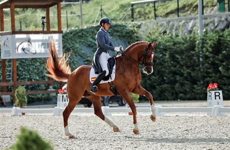 CDN3* & Copa ANCCE - Heras Horses & Events Dressage Tour 2025 (week 2)