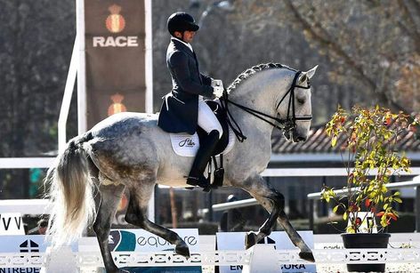 CDN3* Copa ANCCE - RACE 2025