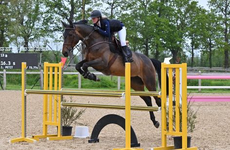 Jumping Pro-Am Basseneville