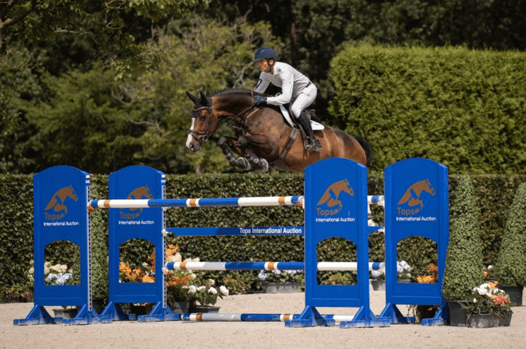 Live Stream Tops International Auction 2024 Videos, Live Streams